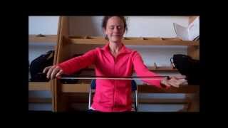 Violin/Viola Skill #15: Bow lifts