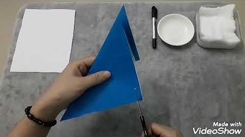 Chồi 2: Cắt, dán con cá