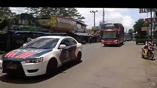 Cinematic bus Kupu-kupu ayu admiral series