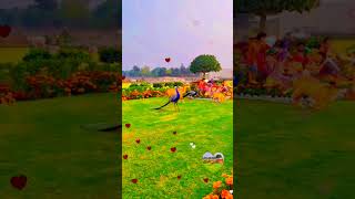 उस बांसुरी वाले की लीले घोड़े वाले की Us Bansuri Wale Ki #fun #and #music #utubeshorts #vayral_video