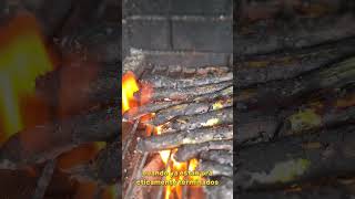 CALÇOTS cebollas tiernas a a BRASA