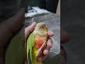 Powerhouse