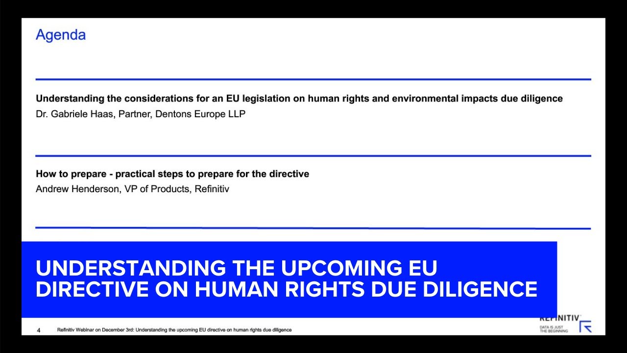 Understanding the upcoming EU directive on human rights ...