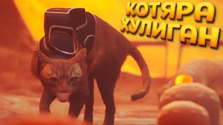 КОТЯРА ХУЛИГАН ( Stray )