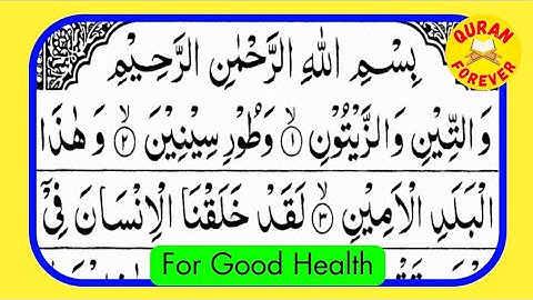 Surah At-Tin | سورة التين | By Qari Muhammad Hussain | For Good Health