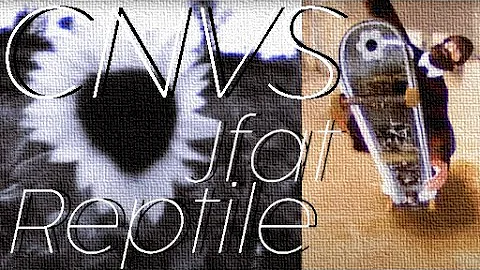 VFVM | REPTILE - JFAT (CNVS)