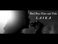 Bird Bear Hare and Fish - ライカ (Music Video)