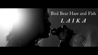 Bird Bear Hare and Fish - ライカ (Music Video)