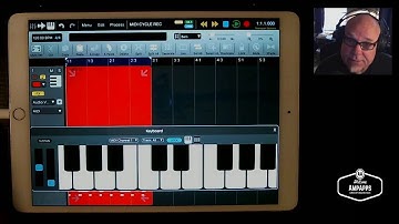 AmpApps|Cycle MIDI Record in Auria Pro