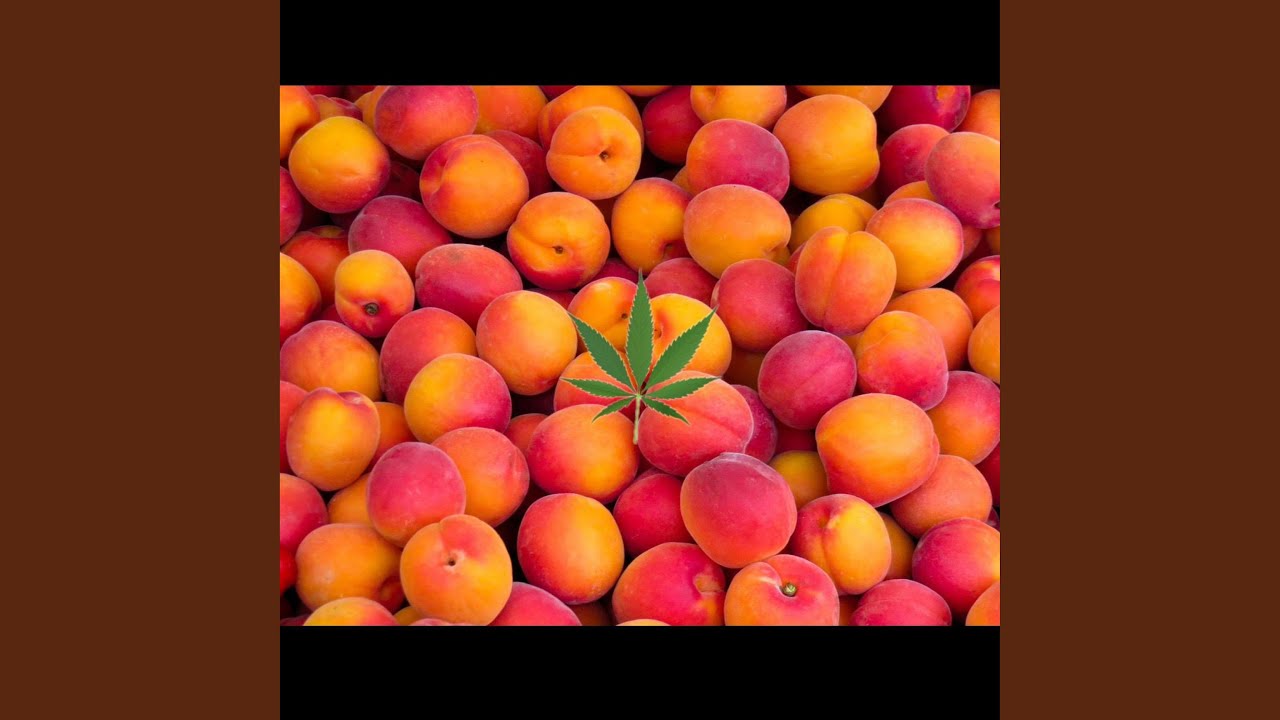 PEACHES N GAS YouTube