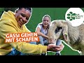 Hilfe für Schaf, Pferde, Hühner &amp; Co | Das Tierschutzteam | SWR Plus