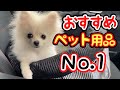 愛犬のために買ってよかったペット用品１位！オススメのドライブベッドでおでかけ