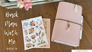 Wk. 19 / BACK Plan With Me / HanCanPlan Deco / Wide Planner Perfect 6 Month Agenda
