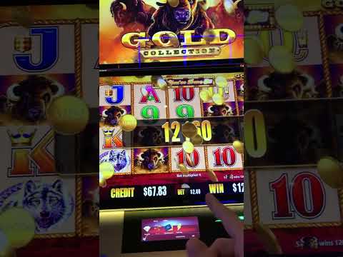 Book Of Demi Gods III- TGE | CASINO ONLINE ARGENTINA PESOS / CASINOS CON BONO BIENVENIDA SIN DEPÓSITO / BONO DE CASINO EN 1WIN #2