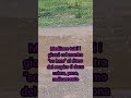 MANTRA #mantra #meditazione #meditare