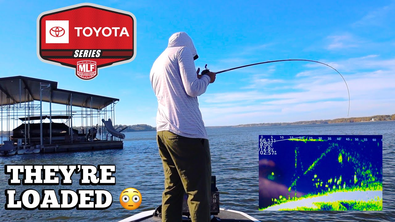 Эта МЕГАшкола на Гранд-Лейк может принести мне 200 тысяч долларов!!!