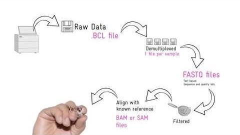 NGS data analysis, Pipelines, Bioinformatics and other jargon