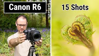 How to Focus Bracket with the Canon R6 - In the Field (And Macro Photography Tips)