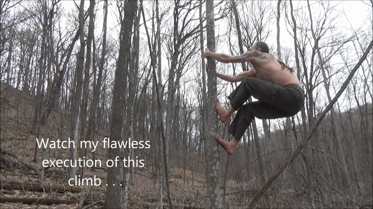 How to Climb Trees Without Branches 