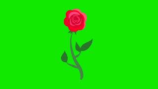 blooming happy flowers cartoon animated cartoon green screen video for youtubers.