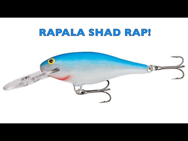 RAPALA SHAD RAP LURE REVIEW!!! 