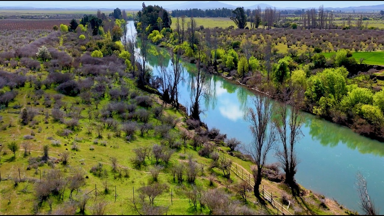 Fundo Río Perquilauquén