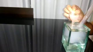 Amazoncube Ice
