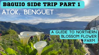 🌲BAGUIO SIDE TRIP Part 1: ATOK,BENGUET | A Guide to NORTHERN BLOSSOM FLOWER FARM #atokbenguet