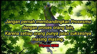 🎬 STORY WA MERPATI (Quotes Part 1)