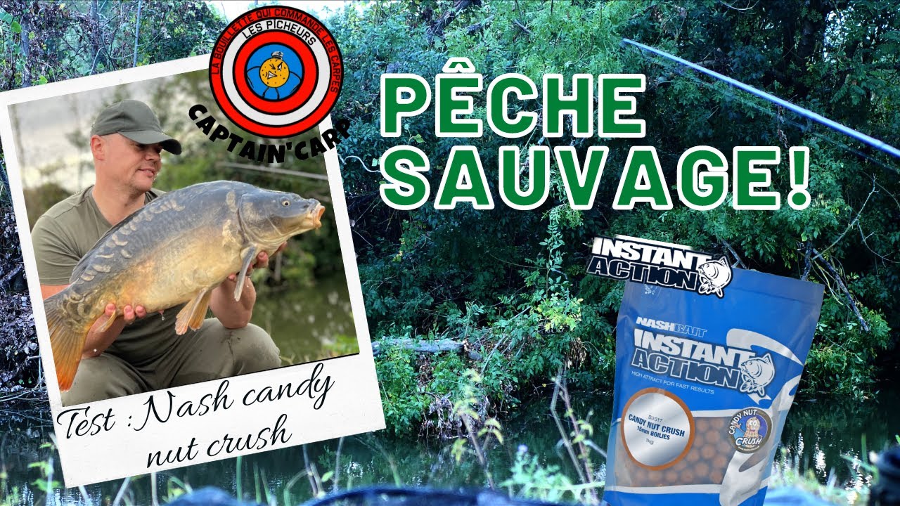 Pêche sauvage//test des NASH candy nut crush//
