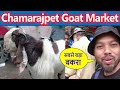 Very big bakra in chamrajpet sheep market  bangalore goat market  sky imprint   