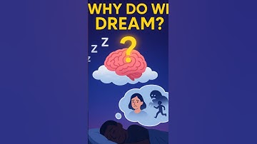 Why You Dream Every Night (And Still Don’t Know Why) 🤯 #dreams #neuroscience #sleep #brainfacts