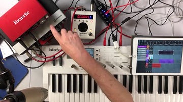 Tracking & Working in Cubasis - iPad - Live Stream