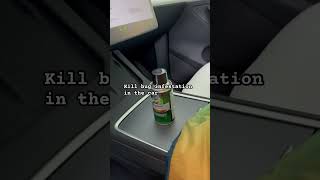 Get rid off ant infestation in car!!!