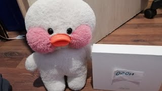 Видеораспаковка с озона для точек!!! 🦆новые посылки для Бетти