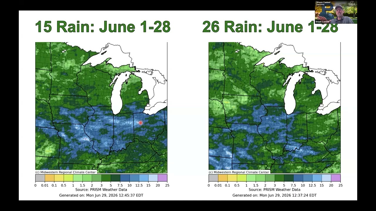 Corn and Soybeans: Reacting to Wet Weather Issues