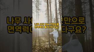 건강챙기기 이거 한번 해보세요 #건강정보 #시니어건강 #산림욕