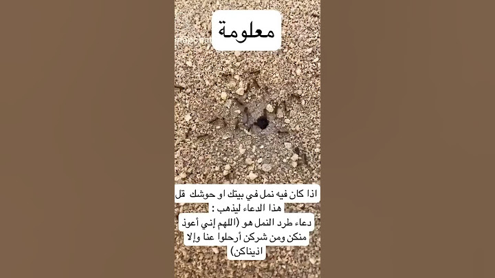 دعاء طرد النمل