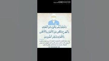 سورة البقرة آية 155