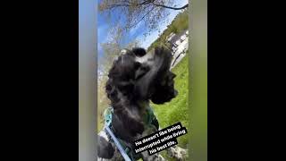 Teodor Tommeraas: Historia De Instagram 15 • 05 - 22 **Teo, El Tío** Details