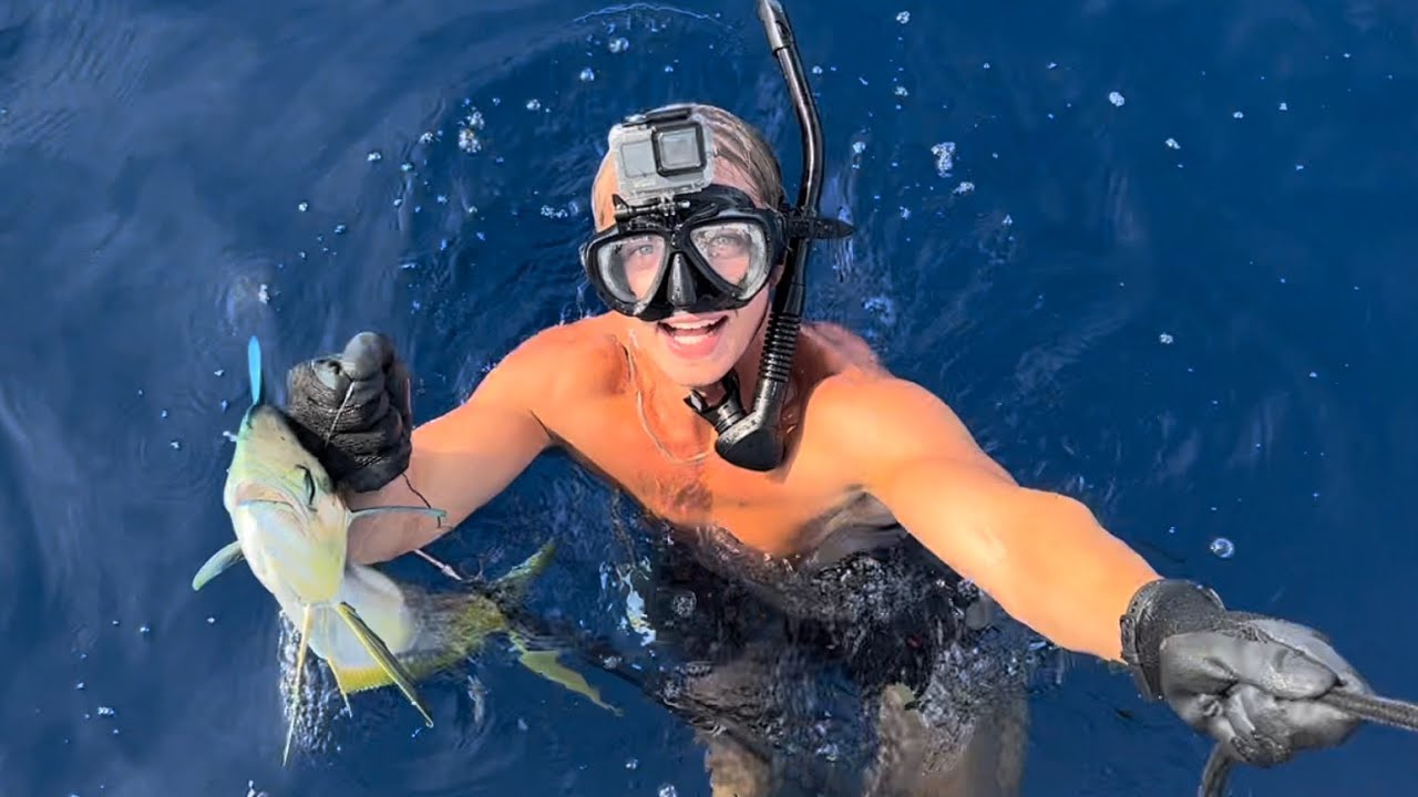 SPEARING MAHI ON A POLE SPEAR IN THE BAHAMAS!! HUNDREDS OF MAHI AND LOTS OF SHARKS!
