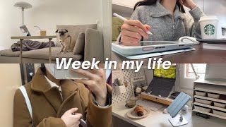 a productive Week in my life vlog | lots of study done for exams, huge Ikea home haul and assembling screenshot 5