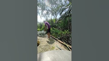 Làm nông dân thời hiện đại – Không dễ nhưng đáng giá! Farming My Future – The Life I Chose