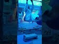 Calisthenics #karate #shorts #gym #trending #viral #youtube
