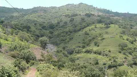 cerro alto Corrido de don alfonso delgado