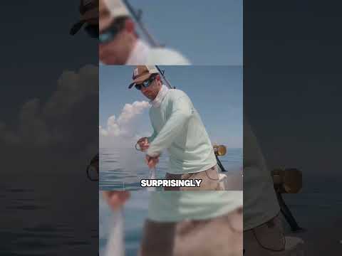 Smart Way To Fish Foryou Fish Fishing Funny 