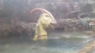 Jurassic Park River Adventure Parasaurolophus