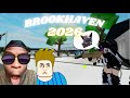 FAZENDO O *CAOS* NO BROOKHAVEN (memes)
