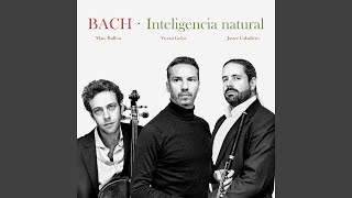 Bach, J.S. Flute Sonata in E. Major, BWV 1035: I Adagio ma non tanto