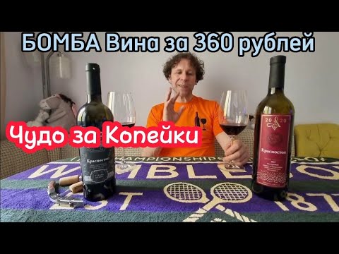 Хорошие вина до 400 рублей. Народное вино за копейки. Красностоп Золотовский Горгиппия Анапские вина